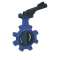 VANNE PAPILLON A OREILLES TARAUDEES CADENASSABLE - MANCHETTE EPDM DN50
