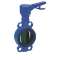 VANNE PAPILLON POIGNEE CRANTEE EN FONTE DUCTILE OREILLES DE CENTRAGE DN200