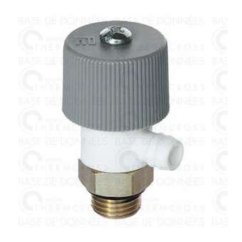 Purgeur d'air M1/4'|Diff-VLL109453