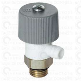 Purgeur d'air M1/4'|Diff-VLL109453