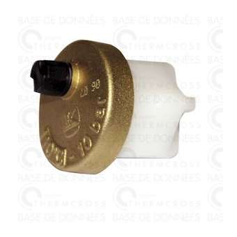 Tête de purgeur dégazeur F1'1/4|Diff-VLL100026