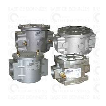 Filtre gaz FM 2b prise pression G1/8' FF1'|Diff-VLL603506