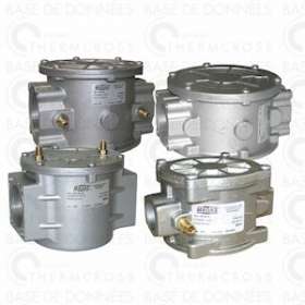 Filtre gaz FM 2b prise pression G1/8' FF1'1/2|Diff-VLL603511