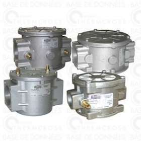 Filtre gaz FM 2b prise pression G1/8' FF1'1/4|Diff-VLL603507