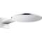 Douche de tête 300 1jet avec bras de douche 450 mm chromé