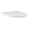 Abattant WC fermeture frein de chute Essence