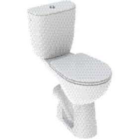 Pack WC au sol Geberit Bastia SH surélevé, abattant standard, blc|Geberit-GBR08328000000201