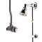 Mitigeur alpa bouton chrome pomme orientable