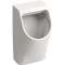 Urinoir Geberit Renova Plan, alimentation encastrée, sortie encastrée: T30cm,