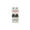 S200 Disjoncteur modulaire- 2P - 1A courbe C - 6000A/10kA (2 modules)-peignable