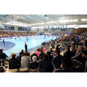 Driver de rechange ZEL-FPL2-VE-III-DA, pour FPL2, gradable DALI|Ridi-RII0209306