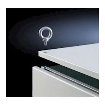 Anneau de transport|Rittal-RIT4568.000