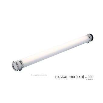 PAS100 15H840 POME 113 SA BRS|Sammode-SMM41605039