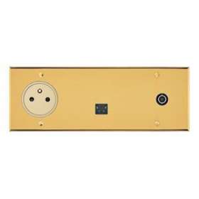 Art d'Arnould univers Mémoire 2P+T- + RJ45 cat.6 FTP + TV simple - Or brossé|Arnould-ARD67237