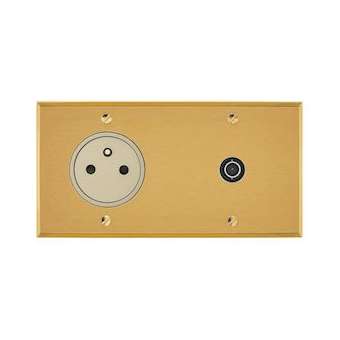 Art d'Arnould univers Mémoire prise 2P+T 16A 250V + prise TV simple - or brossé|Arnould-ARD67239