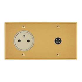 Art d'Arnould univers Mémoire prise 2P+T 16A 250V + prise TV simple - or brossé|Arnould-ARD67239