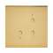 Art d'Arnould univers Epure variateur toutes lampes 2fils sans neutre -or miroir