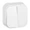 Double interrupteur ou va-et-vient saillie Profil Eco - Blanc