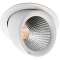 EXCLUSIVE MIDI downlight réglable pour ou blanc LED 31W 3000K classe II IP44