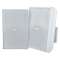 Enceinte 8' 70/100 V blanche (paire)