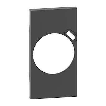 Plastron de finition Living Now pour prise Surface avec chargeur Type-C - noir|Bticino-TICBTKG62