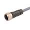 Connecteur M12 3 fils droit longueur 5m PVC
