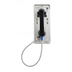Poste sécurité anti-vandales étanche SecurPhone SIP Urgence 4 BT Alu|Depaepe-DEPPVI04A