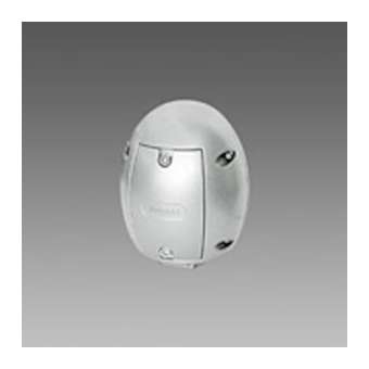 Accessoire 300 Raccord Fixation Oliva Arg. Sab.|Disano-ZON42697000