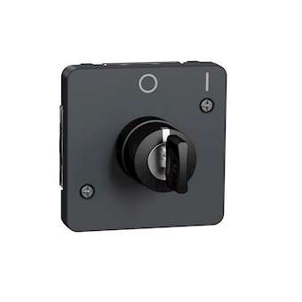 Mureva Styl - Interrupteur à clé 2 positions - composable - IP55 - IK08 - gris|Schneider Electric-SCHMUR35062