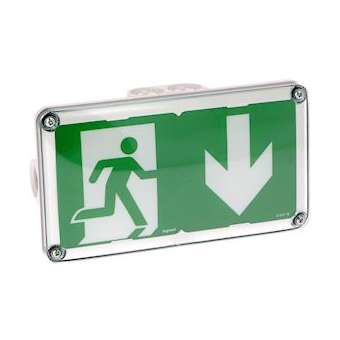 BAES+BAEH d'évacuation saillie à LEDs plastique IP66 IK10 SATI Adressable|Legrand-LEG062661