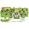 Borne de protection pour 3 conducteu avec levier et poussoir 2,5mm², vert-jaune
