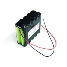 Pack(s) Batterie Nimh 10x AAA 10S1P ST2 12V 800mAh F|Enix energies-NXGMGH0026