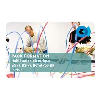 Habilitation électrique (NF C 18-510), B1(v), B2(v), BC et/ou BR Initiale, durée|-TOFSOCFOR02