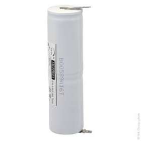 Unité(s) Batterie eclairage secours 2xD ST4 Faston 4.8mm (+2.8mm) 2.4V 4Ah|Enix energies-NXGMGN9023