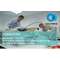 Norme NF C 15-100 Protection contre chocs élec et s/intensités BT, 1 part., 1j
