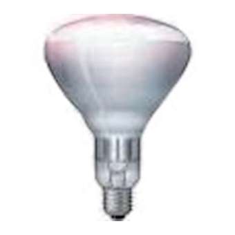 Ampoule blanche - 375 w|Sofraca-SFCLIAMP05