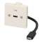 Plastron câblé 2 modules - USB-C 3.2 gen 1 - obturateur LEGRAND - 45x45mm- 0m20
