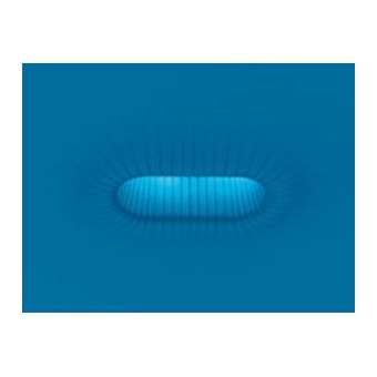 ANTIQAL DOUBLE plâtre naturel|Atelier Sedap-SDP3205AA07