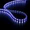 STRIPLED - Strip LED 30m - 60LED Bleu - coupe 1m - 230V