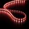 STRIPLED - Strip LED 30m - 60LED Rouge - coupe 1m - 230V