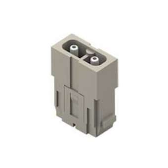 Insert mâle 2 pôles 40A 1000V vis axiale - pour section 2.5 à 8 mm²|Ilme-IL1CX024AM