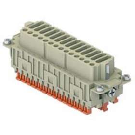Insert femelle raccordement rapide 42P+T 10A - 400V - gabarit 104.27|Ilme-IL1CDSHF42