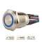 Bouton poussoir acier inox diam. 19 mm Halo bleu 12V DC Contact NO+NC (F)