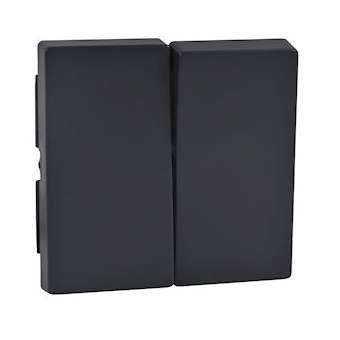 Enjoliveur M-Plan pour interrupteur double allumage, anthracite|Schneider Electric-SCHMTN433514
