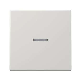 Enjo simple touche à voyant / LS 990 Gris clair|Jung france-IUNLS990KO5LG