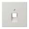 Enjoliveur pour prise IAE/UAE / LS 990 Gris clair|Jung france-IUNLS969-1UALG