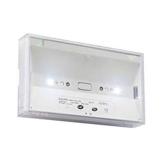 BRIO+/Bloc évac. SATI 100%LED - NF AEAS - BAES + DL - V+|Kaufel-KAU280011