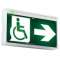 BRIO+/Bloc évac. adress. SATI - 100% LED - NF AEAS - BAES + DBR - V+