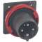 Fiche de tableau Hypra IP66/67-55 63A - 380V~ à 415V~ - 3P+T|Legrand-LEG059477