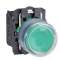 Harmony XB5 - bouton poussoir à impulsion - D22 - capuchonné - vert - 1F - vis|Schneider Electric-SCHXB5AP31